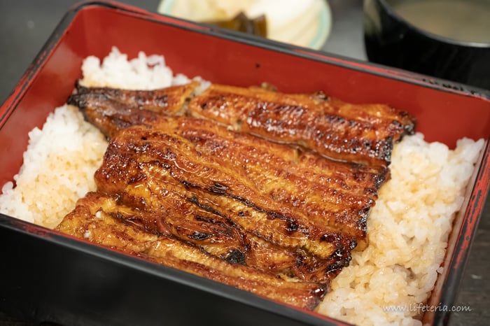 LifeTeria　ブログ