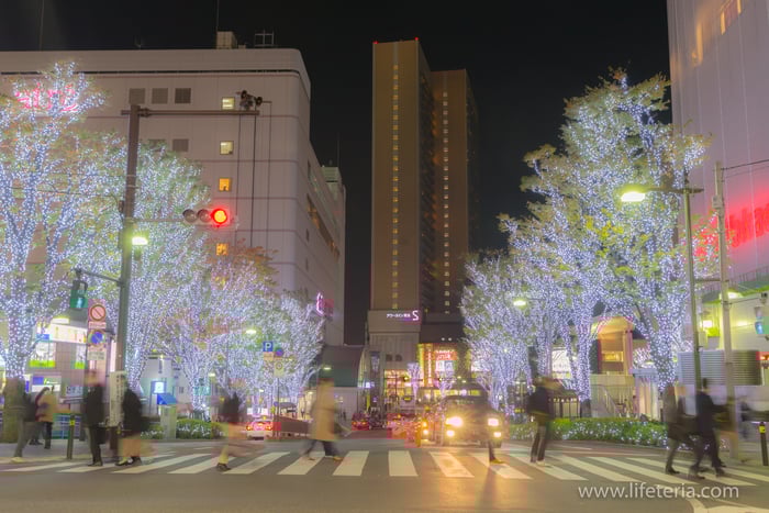 LifeTeria　ブログ