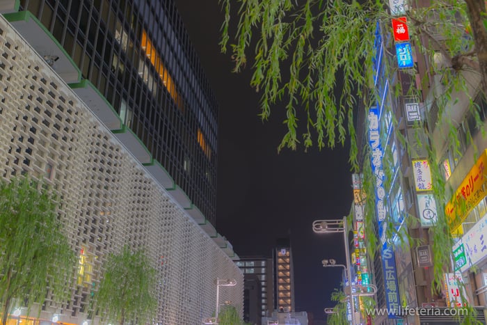 LifeTeria　ブログ