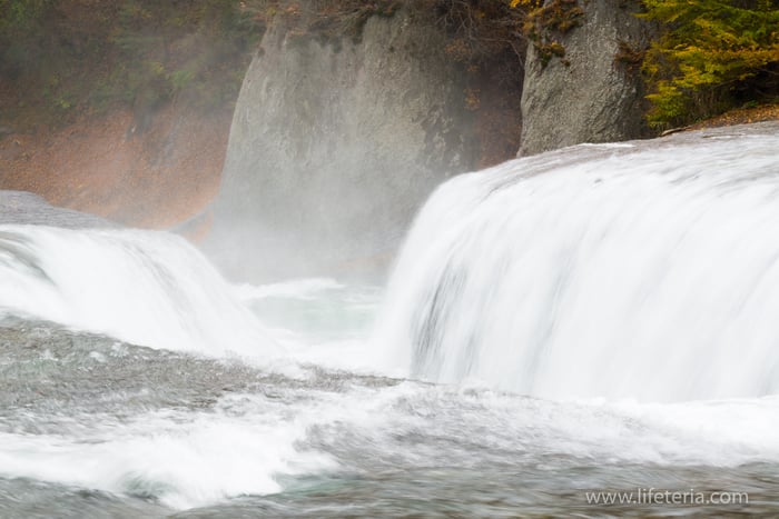 LifeTeria　ブログ