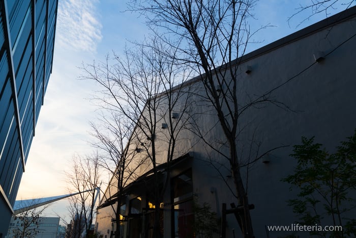 LifeTeria　ブログ