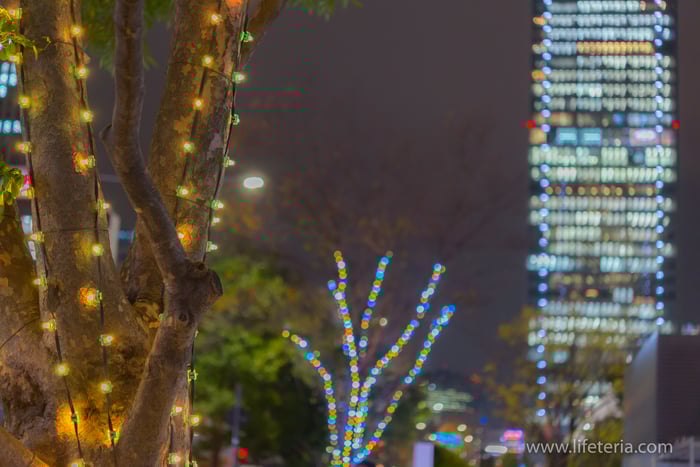 LifeTeria　ブログ