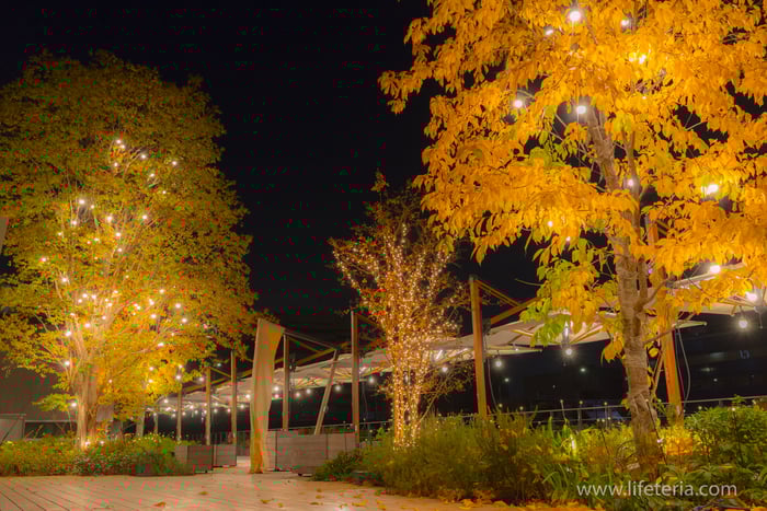 LifeTeria　ブログ