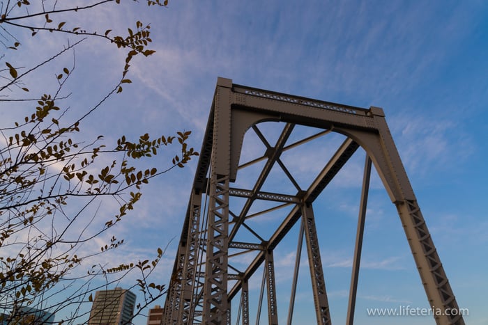 LifeTeria　ブログ