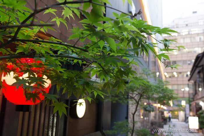 LifeTeria　ブログ