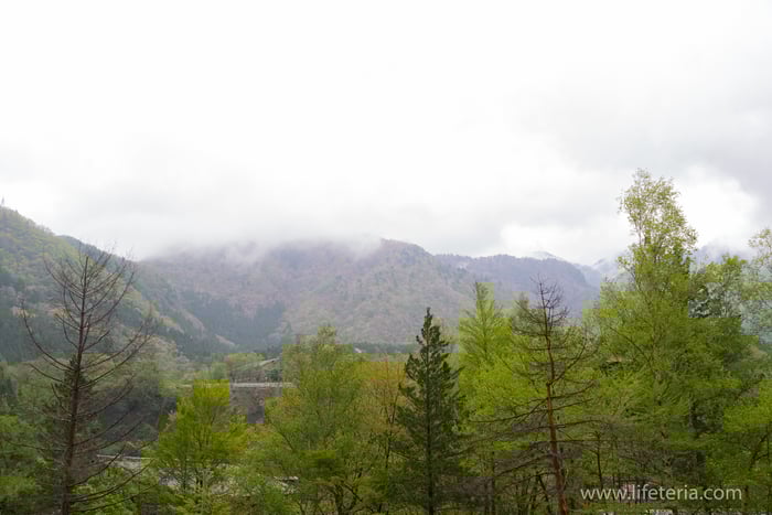 LifeTeria　ブログ