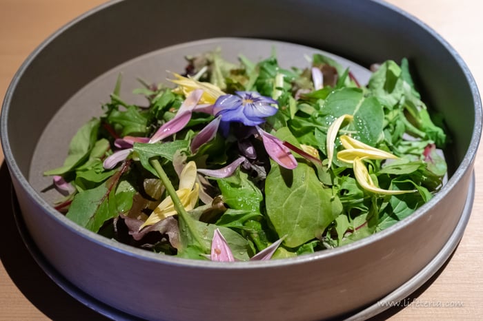 LifeTeria ブログ 定山渓商店