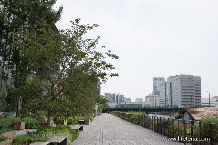 LifeTeria　ブログ