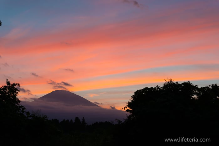 LifeTeria　ブログ