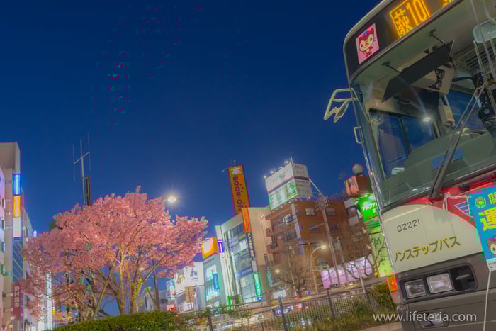 LifeTeria　ブログ