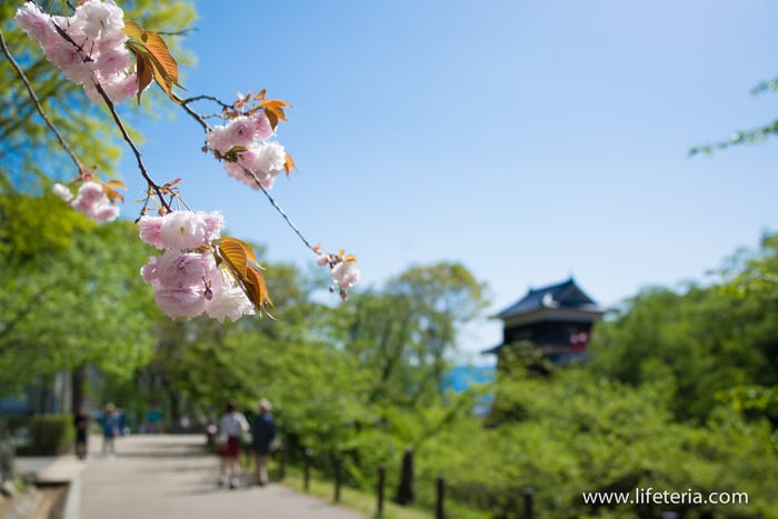 LifeTeria　ブログ　上田城