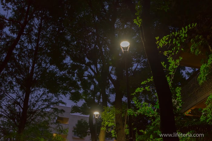 LifeTeria　ブログ