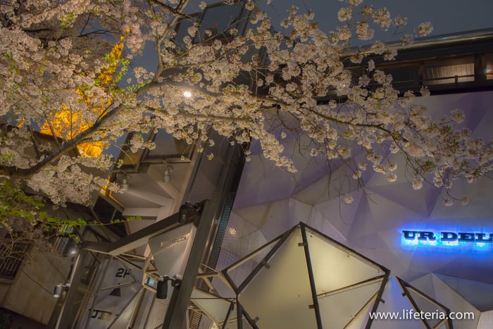 LifeTeria　ブログ