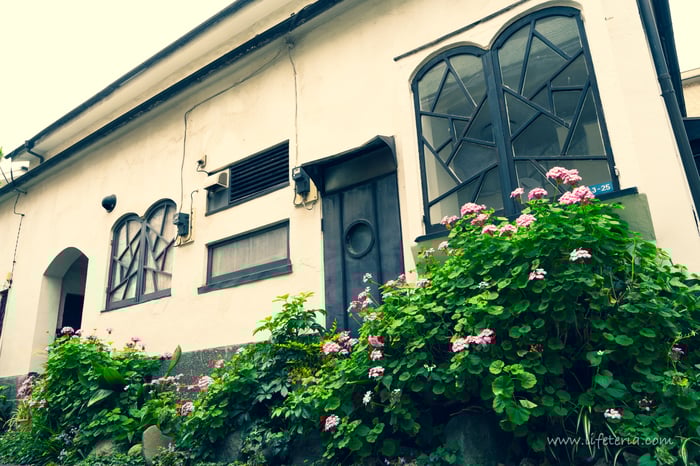 LifeTeria　ブログ