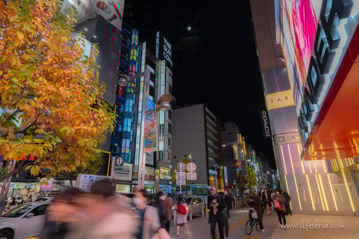 LifeTeria　ブログ