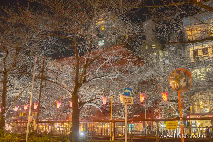 LifeTeria　ブログ