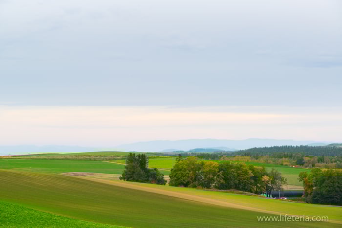 LifeTeria　ブログ