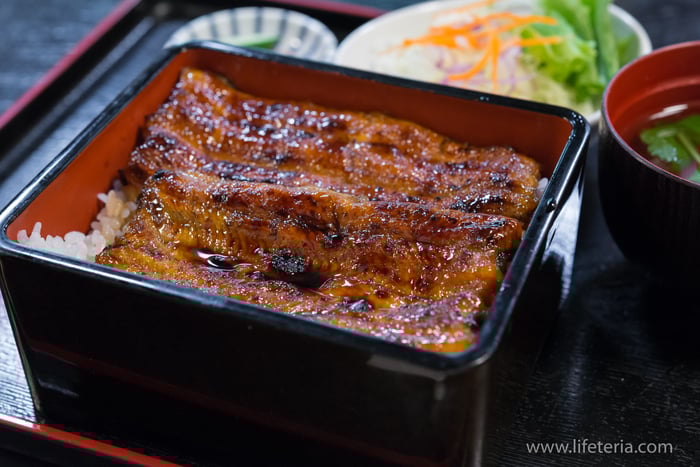 LifeTeria　ブログ