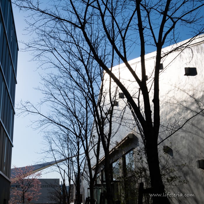 LifeTeria　ブログ