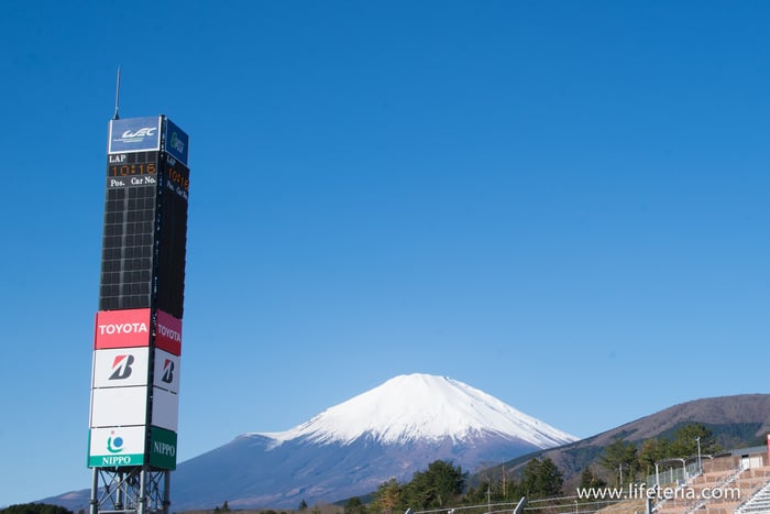 LifeTeria　ブログ