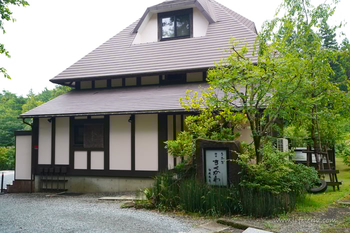 LifeTeria　ブログ