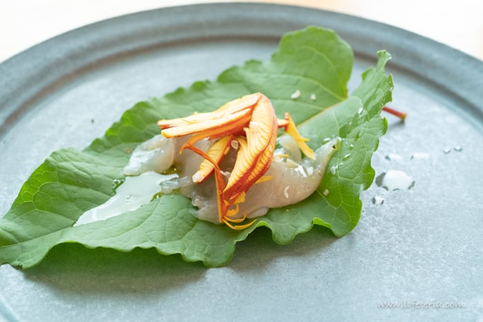 LifeTeria　ブログ　余市SAGRA