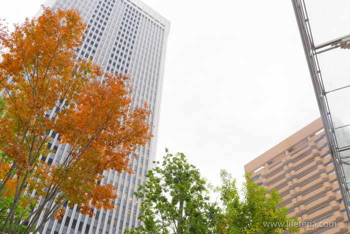 LifeTeria　ブログ