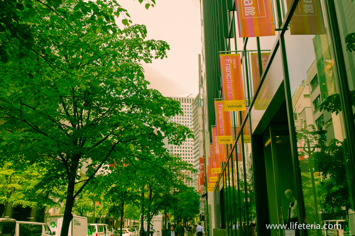 LifeTeria　ブログ