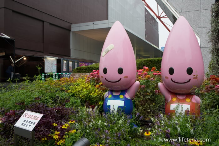 LifeTeria　ブログ