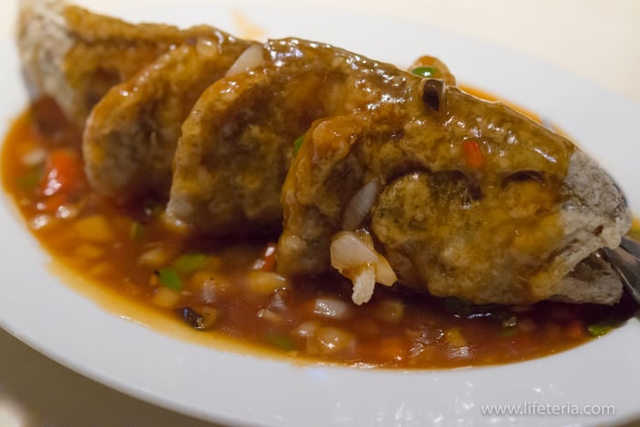 LifeTeria　ブログ　青葉