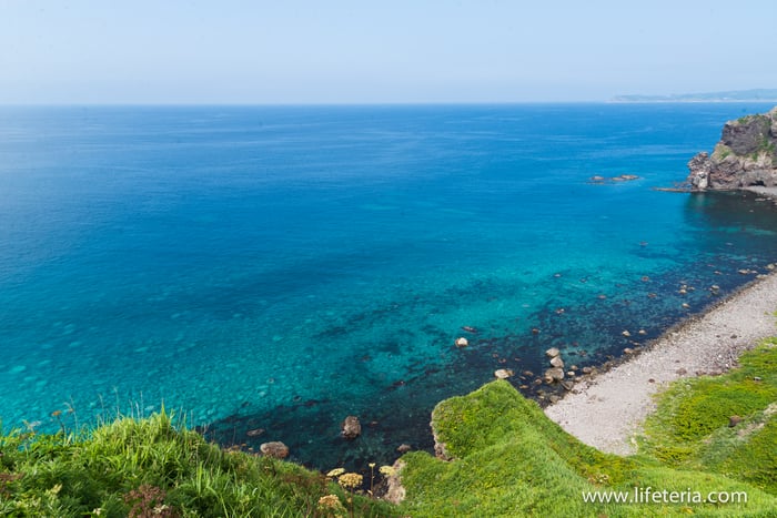 LifeTeria　ブログ