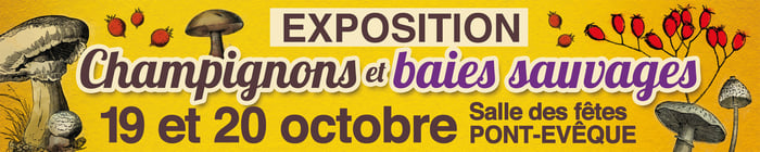 création banderole nature