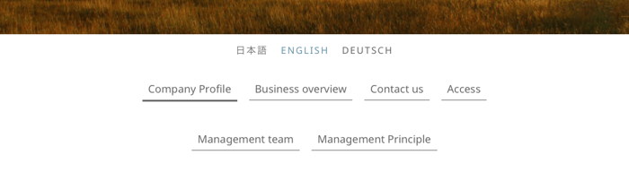 Zurich見本：多言語サイト（英語）
