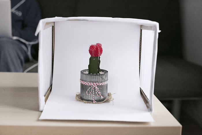 撮影ボックスを使って撮影してみる