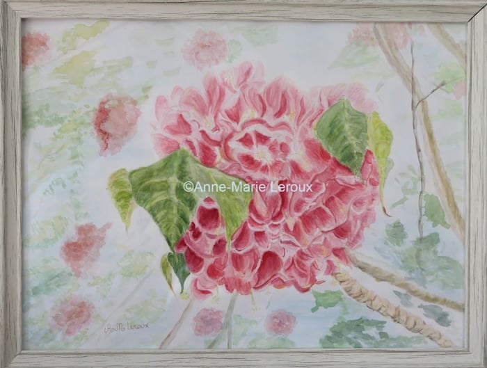 Différente saison, fleur éclose.