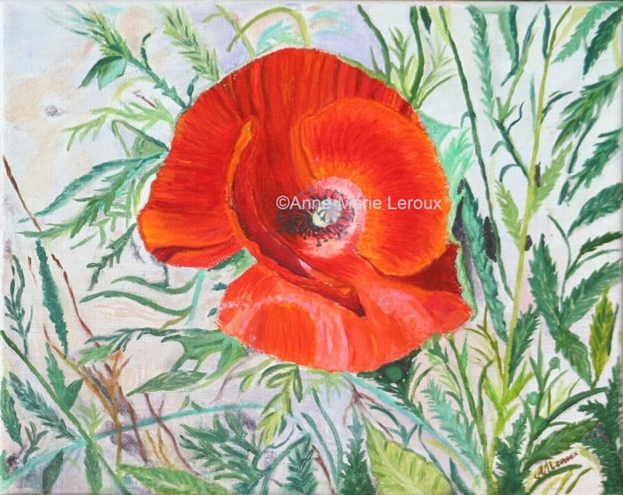 Coquelicot de Monflanquin