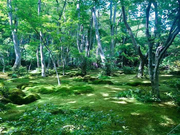 京都市下京区四条烏丸の心療内科、女医のいるメンタルクリニック、マインドフルネス