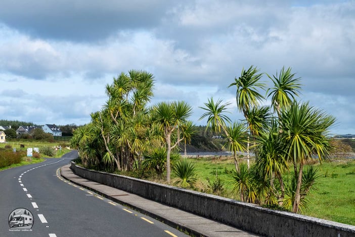Irland mit dem Wohnmobil