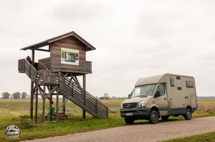 Trappen - Aussichtsturm LIFE Great Bustard Andau