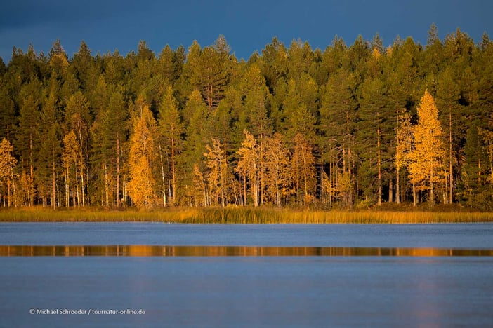 Mit dem Wohnmobil in Finnland unterwegs