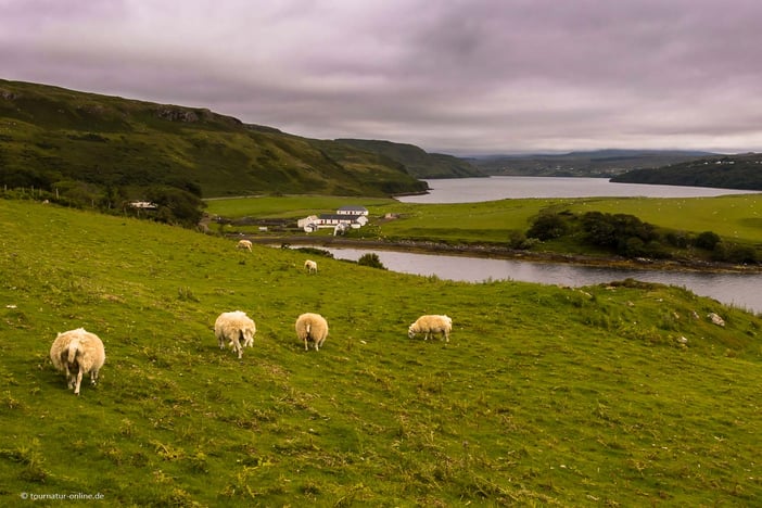 Mit dem Wohnmobil in Schottland