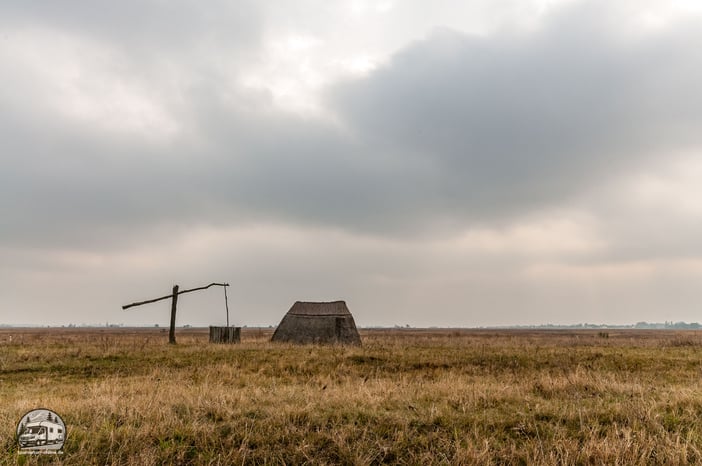typische Landschaft um den Neusiedler See