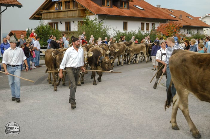 die Deutsche Alpenstraße mit dem Wohnmobil