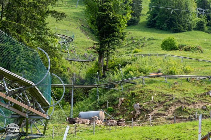 die Deutsche Alpenstraße mit dem Wohnmobil