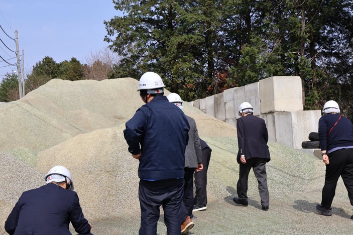 お日様に照らされキラキラ✨しています
