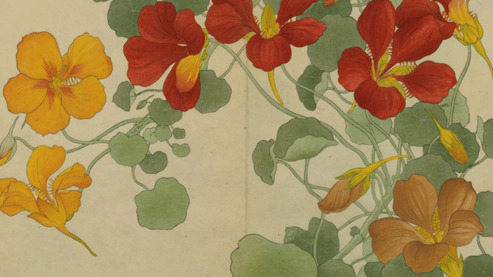 出典：国立国会図書館「NDLイメージバンク」 (https://rnavi.ndl.go.jp/imagebank/)