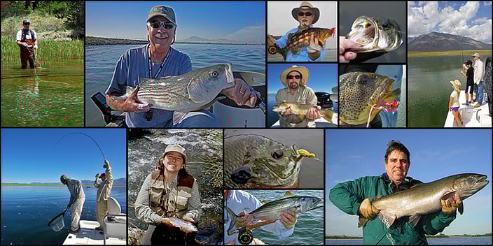 A collage of San Diego Fly Fishing Fish caught by Stroud Tackle customers, staff, and friends