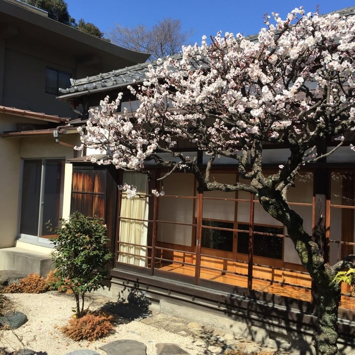 舞楽(ぶがく)公演04-本法寺-東京都文京区のお墓 永代供養墓 法要-