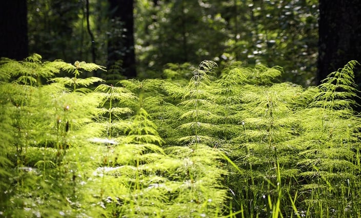 Persönlichkeitsentwicklung Psychotherapeutische Praxis Georg Bandl Biel