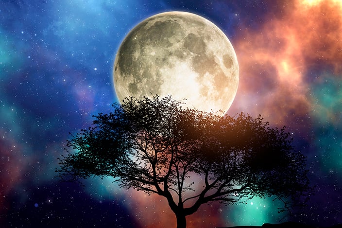 マルチクリエイター　クリエイター　イラストレーター　映像作家　似顔絵師　アニメ　イラスト　アイソメイラスト　キャラクタ　マップ　ロゴ　SDGs対応イラスト　インバウンド向けデザイン　デザイン　サービス　企画　制作　提案　アイデア　依頼　注文　相談無料